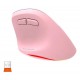 MOUSE ERGONOMICO INALAMBRICO MEETION BTM010R