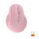 MOUSE ERGONOMICO INALAMBRICO MEETION BTM010R